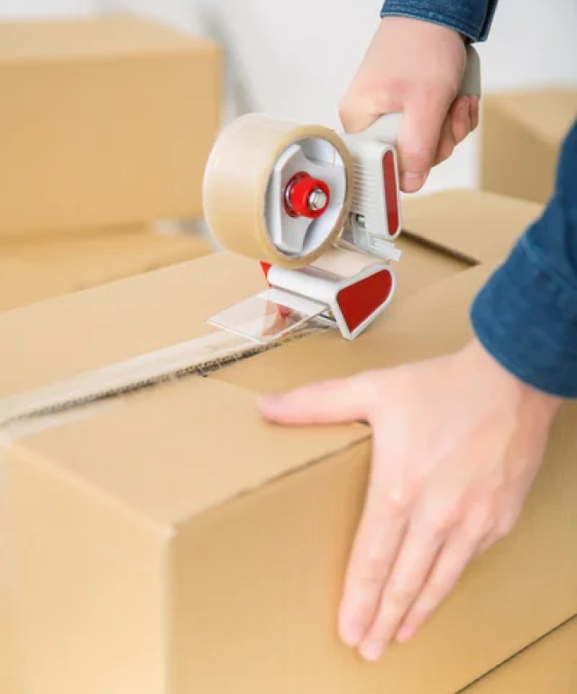 Frame 33630 (1) Frame 33630 (1)